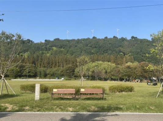 서울시, 난지한강공원에 세븐틴 등 스타숲 생긴다… 올해 총 10개 기부 조성