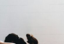 건강한 라이프스타일의 시작: 다이어트와 운동의 완벽한 조화