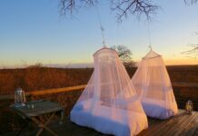 야외 활동 시 벌레 물림 예방 white mesh net on brown wooden floor