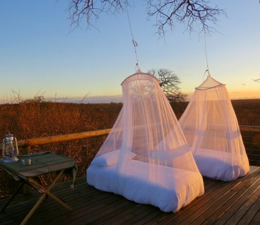 야외 활동 시 벌레 물림 예방 white mesh net on brown wooden floor