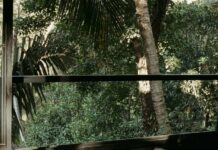 여름철 강력한 면역력 유지법 a person lying on a couch