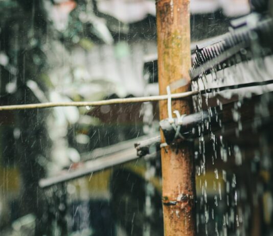경기지역 집중호우에 총력대응…“안전·재산 피해 없도록” water droplets on brown wooden post