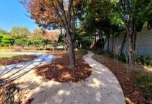 장애인과 주민을 위한 무장애 나눔숲 조성