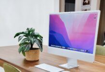 활동량를 늘리는 건강한 겨울 습관 a desk with a computer and a potted plant