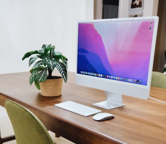 활동량를 늘리는 건강한 겨울 습관 a desk with a computer and a potted plant