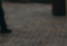 고령자의 뇌 건강: 치매 예방을 위한 뇌 훈련법 black and white chess piece on brown wooden chess board