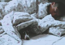 요가로 숙면을 돕는 5가지 동작 man lying on bed beside short-coated black dog